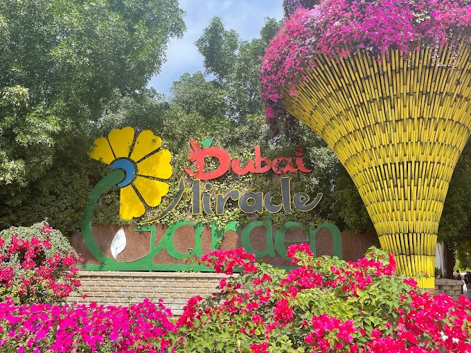 Discover the Wonder of Dubai’s Miracle Garden